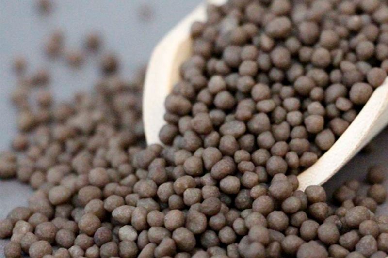 DAP (Diammonium Phosphate)