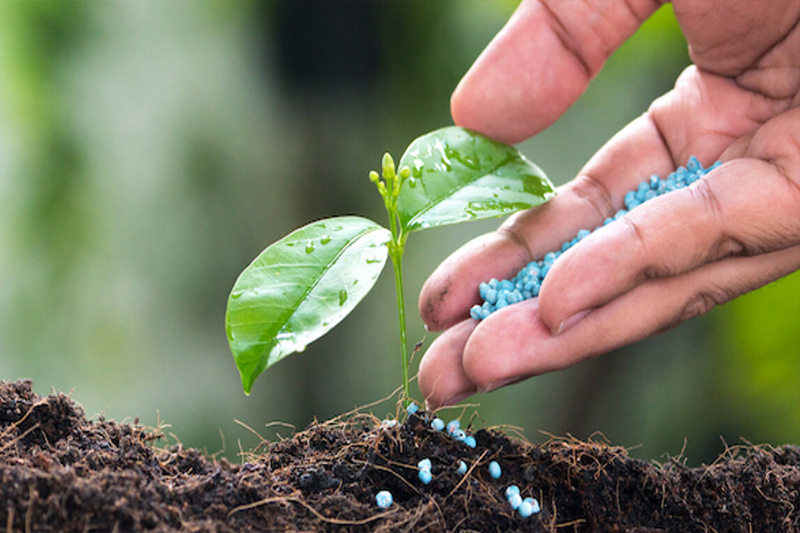 Fertilizers