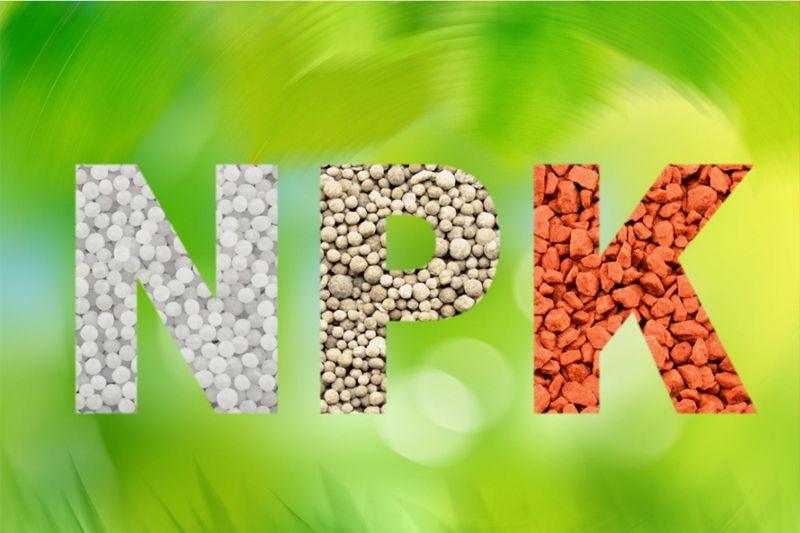 NPK Fertilizers