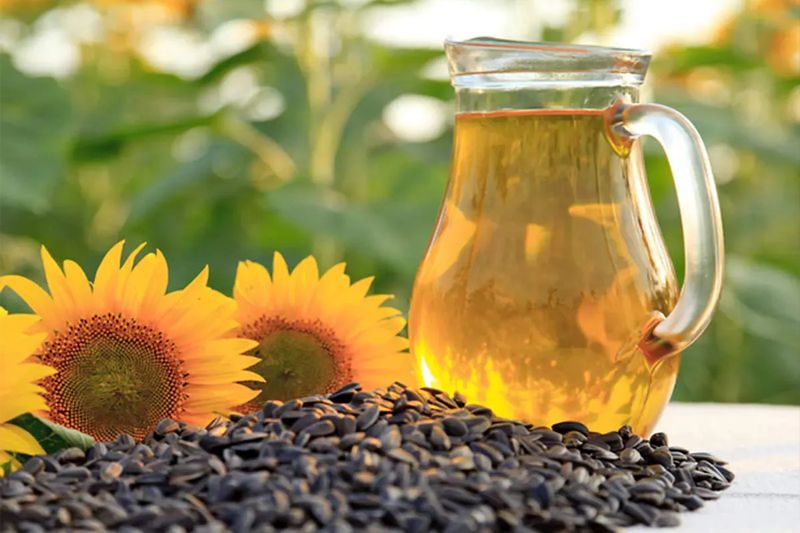 Sunflower Oil