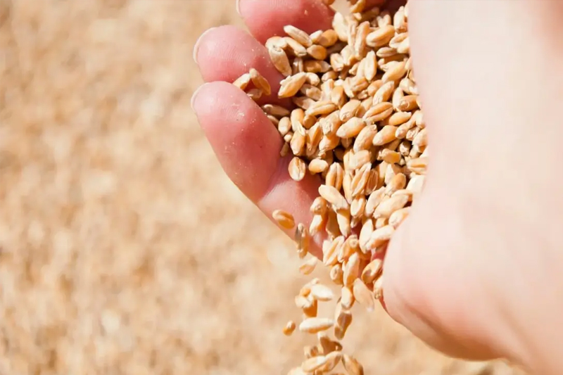 Agricultural Products